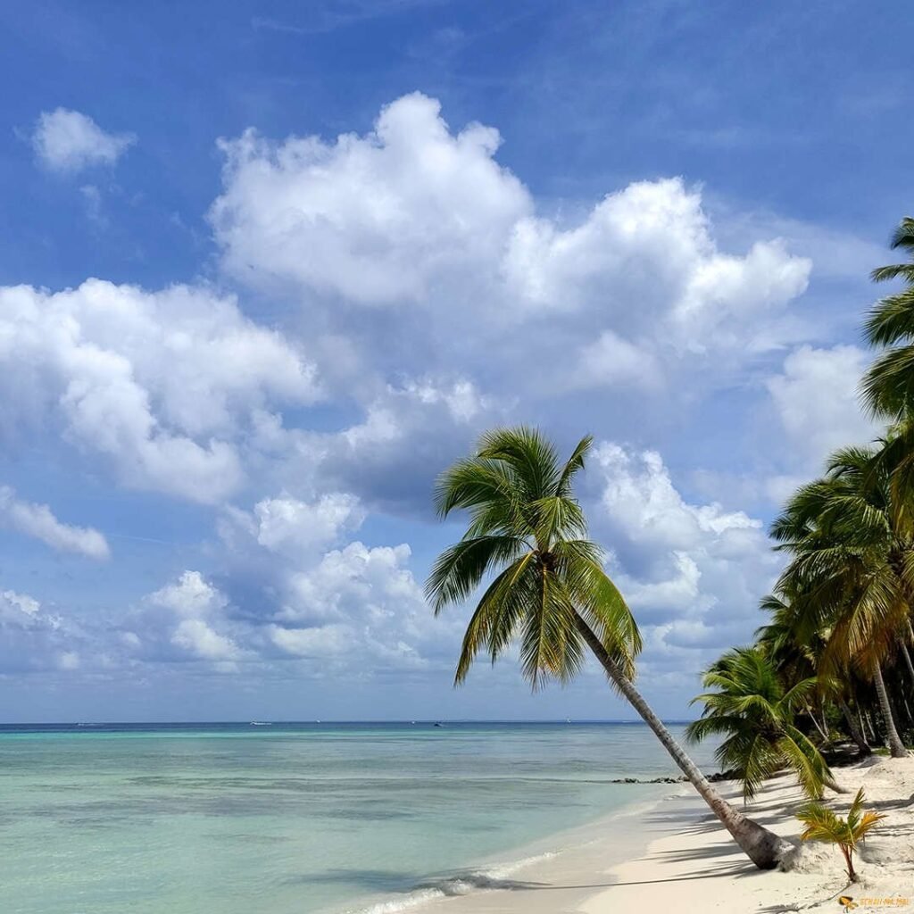 La Romana Private Excursions