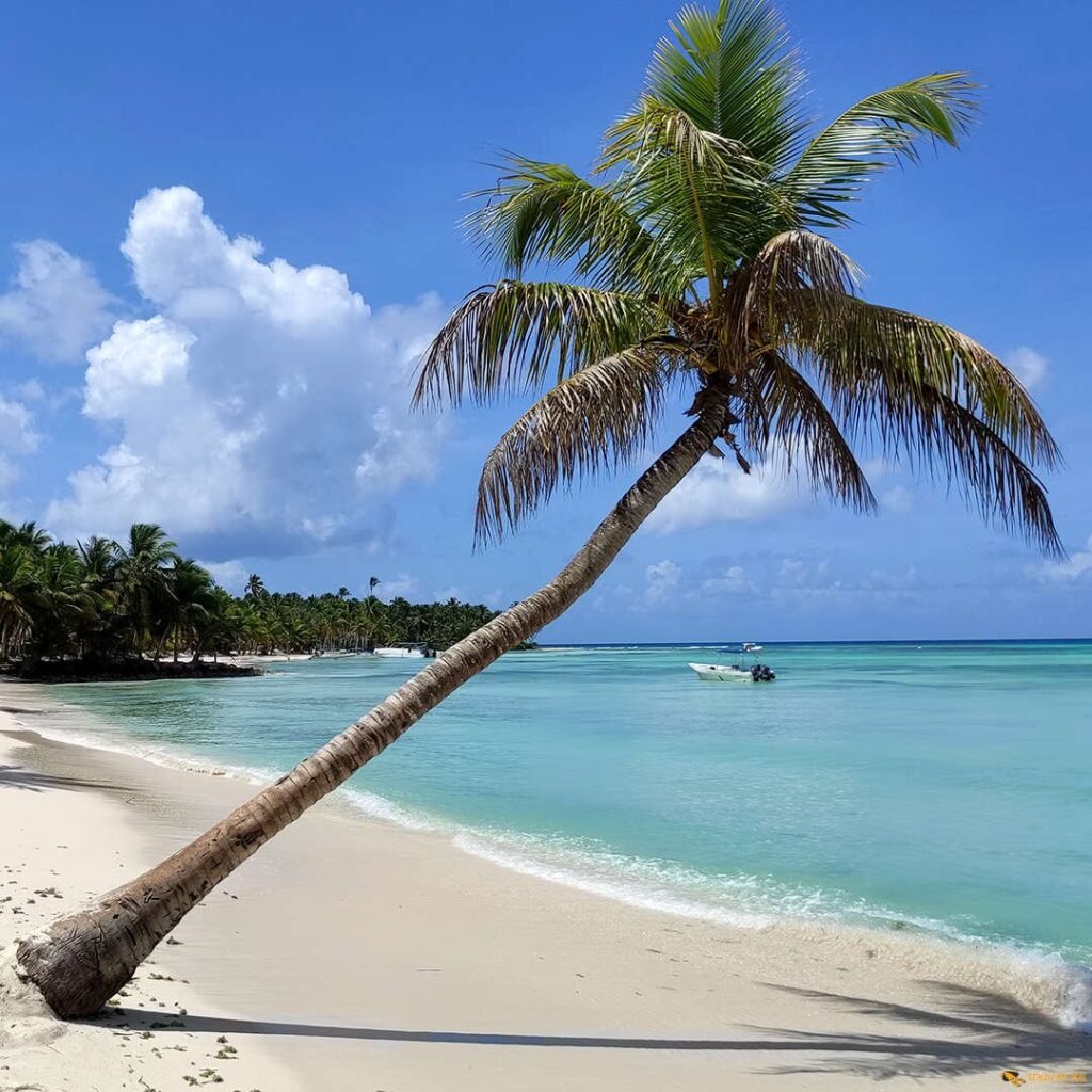 La Romana Private Excursions