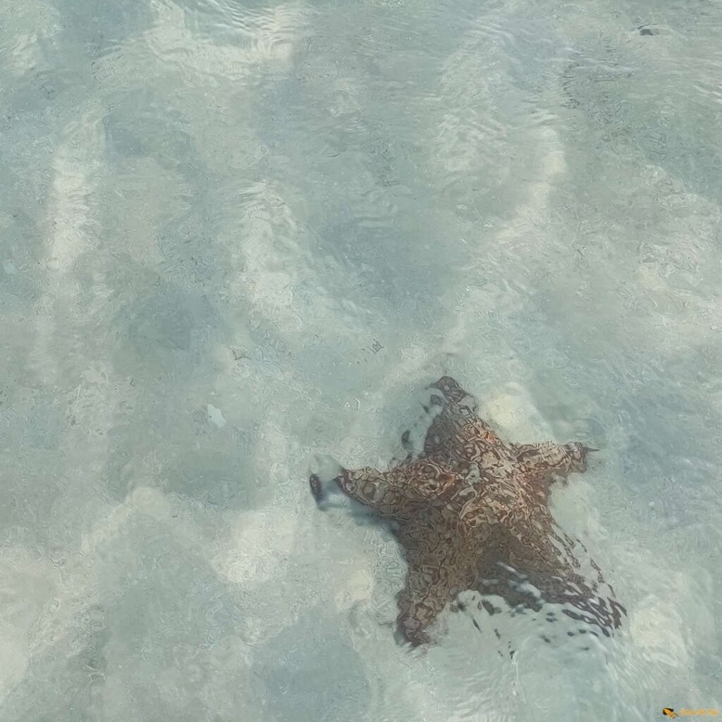 La Romana Private Excursions