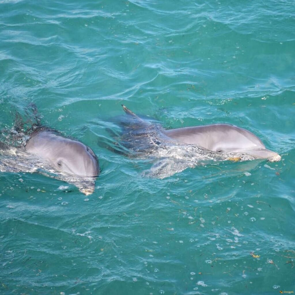 La Romana Private Excursions